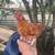 Kiki chicks 3 thumbnail