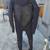 Wetsuit 2 thumbnail