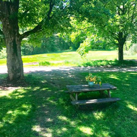 $800 / 900ft2 - Loft/Studio Apartment - on West River (Brattleboro)63313438126595122