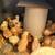 CHICK SPECIAL!!! Chicks & Almost Laying Hens 11 thumbnail