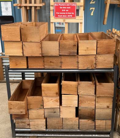 Cedar planters box 1
