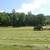 2026 1st Cut T/O Mix Hay 2 thumbnail