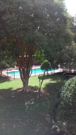 Zilker Park Barton Creek 1