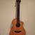 Breedlove Studio C250/SM-12 12 string guitar 2 thumbnail