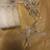 Dragonfly String Lights Kurt Adler 10-Lights Color Changing 2 thumbnail