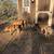 Bottle calves 1 thumbnail