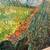 Framed Vincent Van Gogh Picture 10 thumbnail