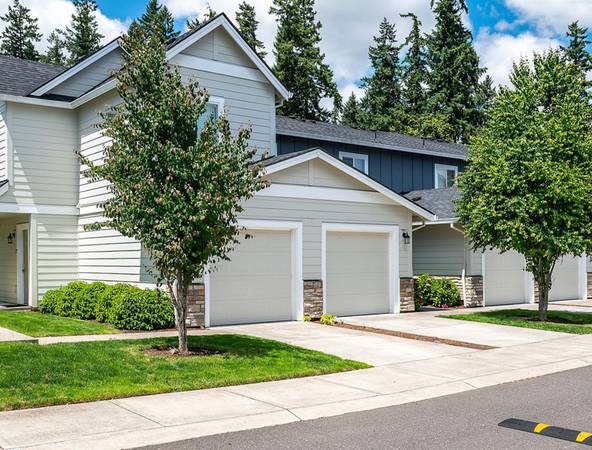 $1,450 / 1br - Practical One Bed - Efficient Stainless Appliances | Suburban Area (Vancouver)64039222017026124