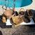 Biggest Best Backyard Multi Family Sale 6 thumbnail