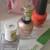 Essential Oil Diffusers work as Mosquito Repellent/Conair Facial Sauna 20 thumbnail