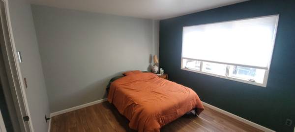 Room available in newly renovated house 1