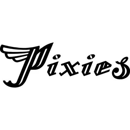 Forming Pixies Tribute 1