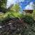 El Quetzal Landscaping LLC 2064762833 3 thumbnail
