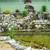 POND AND WATERFALLS (KOI POND) 7 thumbnail