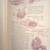 The Coming King book First Edition 1898 antique Seventh Day Adventist 16 thumbnail