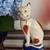 Fitz and Floyd Chelsea Staffordshire Style Cat Figurine Bookend 1 thumbnail