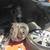 MOBILE BRAKES  * PADS*ROTORS*  * BRAKE SERVICE  MECHANIC 12 thumbnail