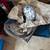 Triumph motorcycle parts (NEW) 7 thumbnail