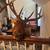 Two Trophy Buck Elk Heads Professional Taxidermy 2 thumbnail