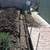 Landscape & Tree service 9 thumbnail
