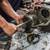 Top Auto Repair Mechanic Shop in Loudoun County (Sterling VA) 12 thumbnail