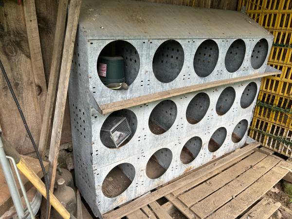 Chicken nesting boxes 1