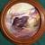 Bird Plate collection 5 thumbnail