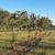 Oak Trees B&B 2 thumbnail