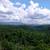 10.82 Acres in the Sierras - Seller Financing 6 thumbnail