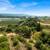 Knoll-Top Orchard Estate Setting In The Corralitos Foothills! 15 thumbnail