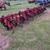 Case IH 183 Cultivator 5 thumbnail