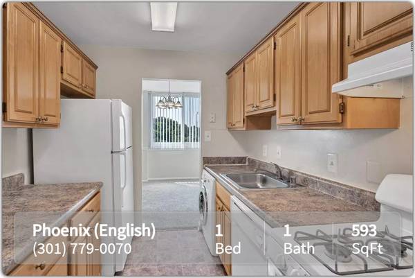 $1,228 / 1br - 593ft2 - Enjoy incredible views at The Phoenix Apartments (English)! 1 Bd, 1 Ba (Bladensburg - University of Maryland)63895921580419120