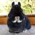 Netherland dwarf rabbits 4 thumbnail