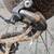 hybrid Trek FX2 XXL 25 inch 65cm 8 thumbnail