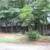 Private Charming  4/3 (incl basement apt) 1 hour from Asheville 1 thumbnail
