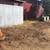 Stump Grinding-Stump Grinder- Stump Removal 11 thumbnail