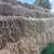 Square Bales 3 thumbnail