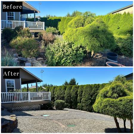 Landscape, Tree Service and Concrete (Yard Clean-up, Fence, Retaining Wall) 1