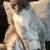 Lynx point missing…$200 reward 5 thumbnail