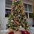 7.5' Sierra Cashmere Christmas Tree 5 thumbnail