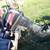 For Sale Small Pontoon  25HP mercury motor- No Trailer 3 thumbnail