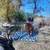 Horse Training 5 thumbnail