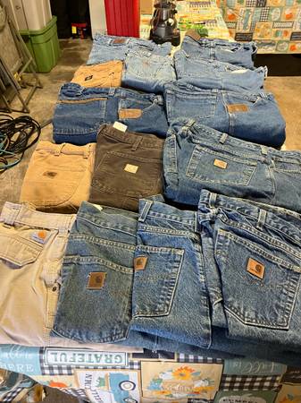 Carhartt/LL Bean/Wrangler-Riggs pants 1