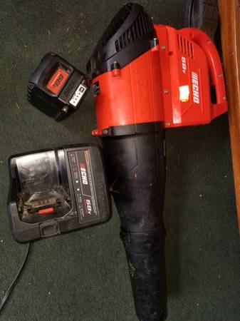 Echo 56 V cordless leaf blower And several other powered garden tools 1