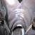 Ariat Boots - LOOK! 4 thumbnail