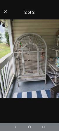 Large bird cage 1