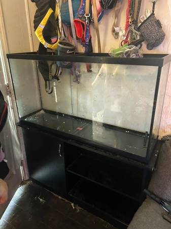 Saltwater aquariums63314287379459124
