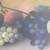 Antique pastel/chalk still life signed 5 thumbnail
