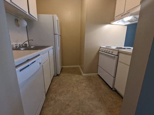 $949 / 450ft2 - Trendy Studio in Cotswold with FREE water, sewer, trash! (Charlotte, NC)63925334572418122