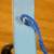 Wooden Bird 3 thumbnail